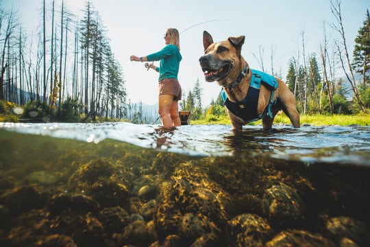 Ruffwear Confluence Life Jacket