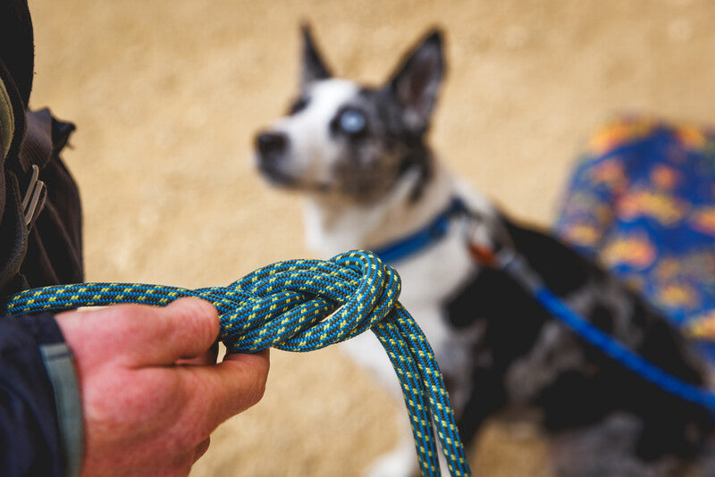 Ruffwear Knot-a-Leash