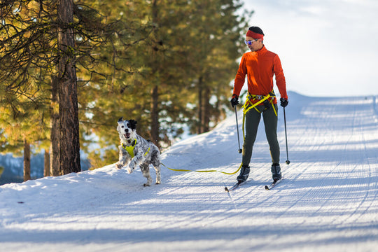 Ruffwear Omnijore Joring System