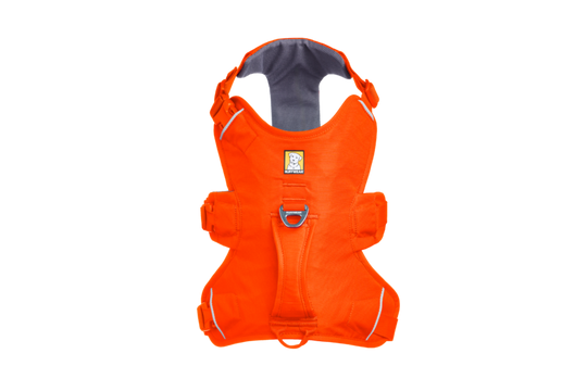 Ruffwear Web Master Harness