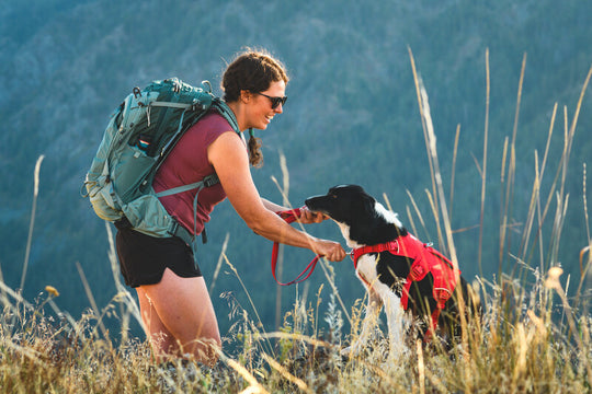 Ruffwear Web Master Harness