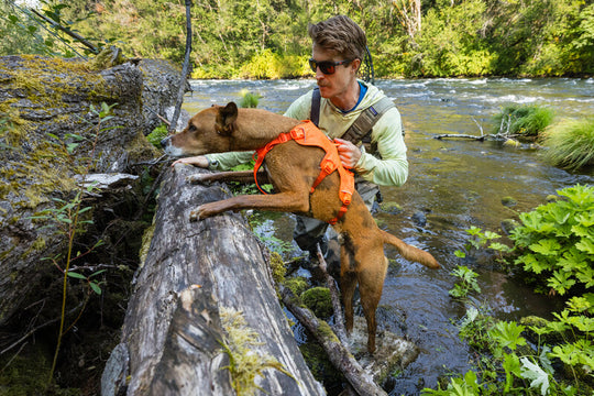 Ruffwear Web Master Harness
