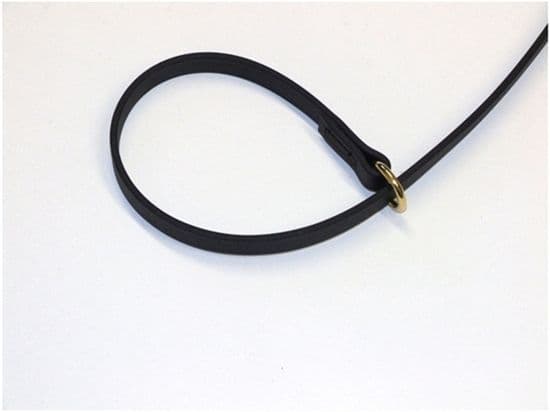Enduro / BioThane Slip Lead