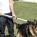 Heavy Duty Catch Pole