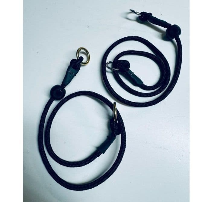 Influence/Lockable Training Cord Collar