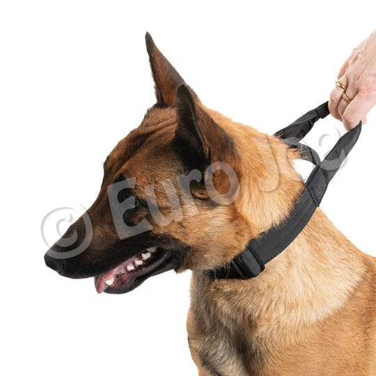 Iron Power Collar