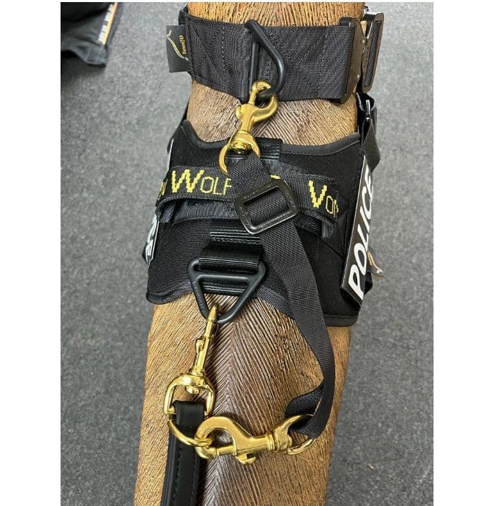 Safety Line Adjustable