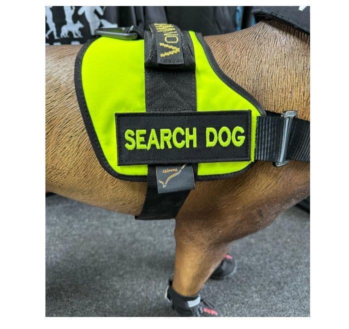 Von Wolf K9 Search Harness