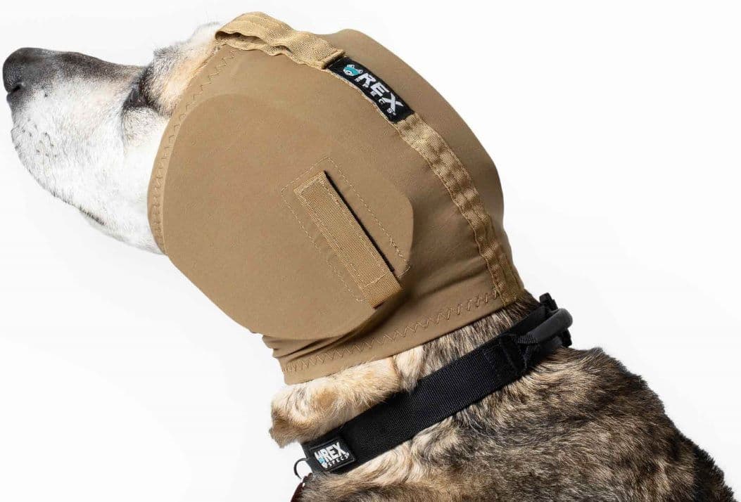 Ear Pro