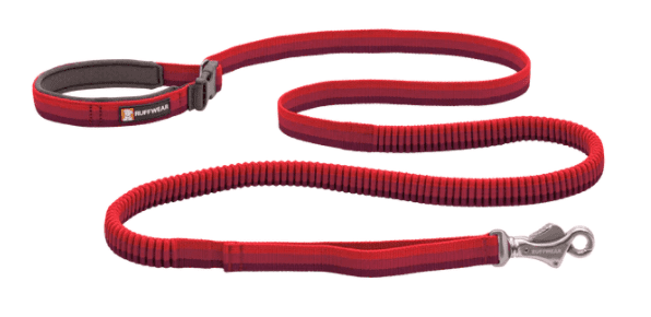 Dog Leashes