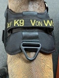 Agitation Collars, Harnesses & Muzzles