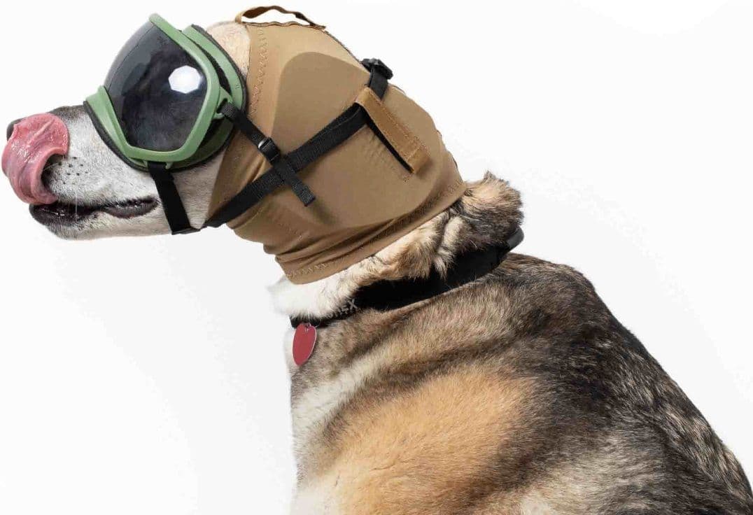 Rex Specs (V2 Dog Goggles & Ear Defenders)