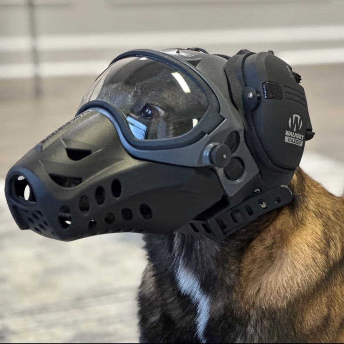 Police/Law Enforcement