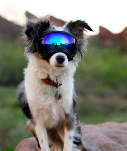 Original Replacement Lenses