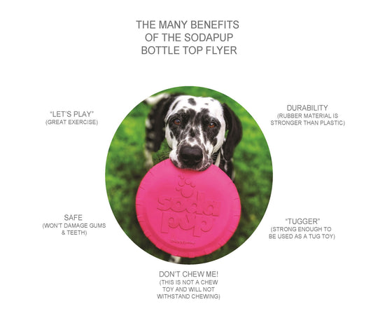 Sodapup Magnum Bottle Top Flyer