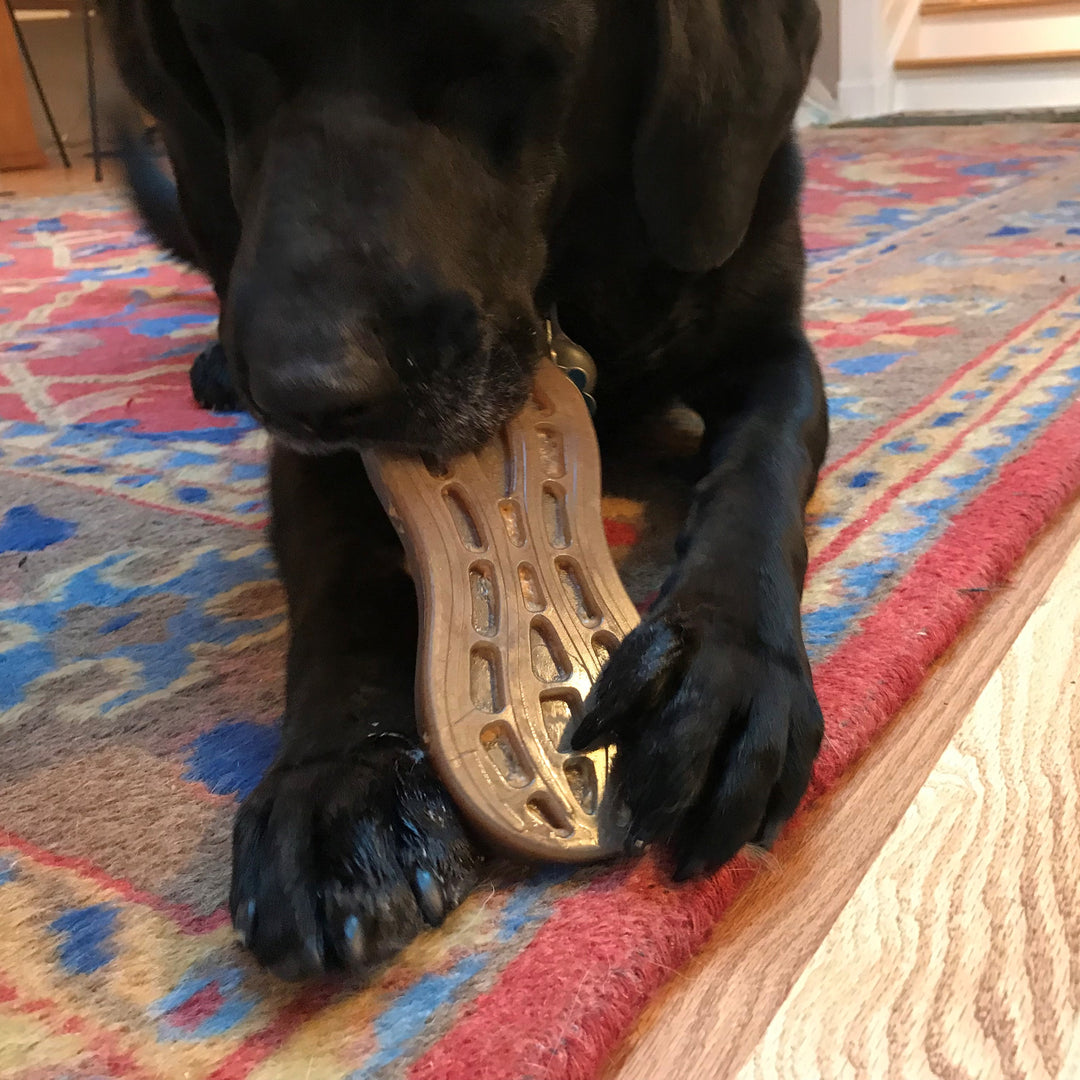 Sodapup Peanut Ultra Durable Nylon Dog Chew Toy