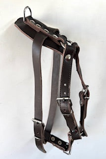 Leather Tracking Harness
