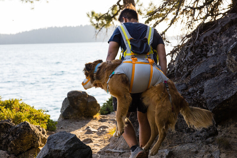 Ruffwear BackTrak Dog Evacuation Kit
