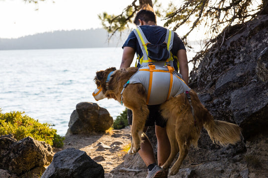 Ruffwear BackTrak Dog Evacuation Kit