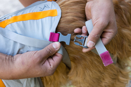 Ruffwear BackTrak Dog Evacuation Kit