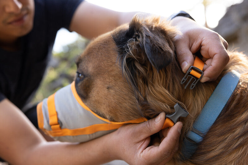 Ruffwear BackTrak Dog Evacuation Kit