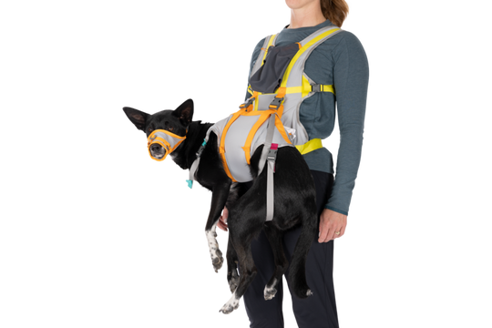 Ruffwear BackTrak Dog Evacuation Kit