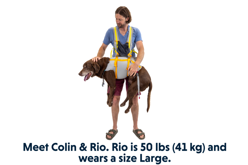Ruffwear BackTrak Dog Evacuation Kit