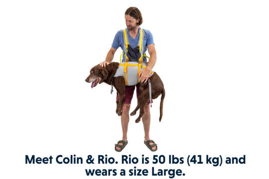 Ruffwear BackTrak Dog Evacuation Kit