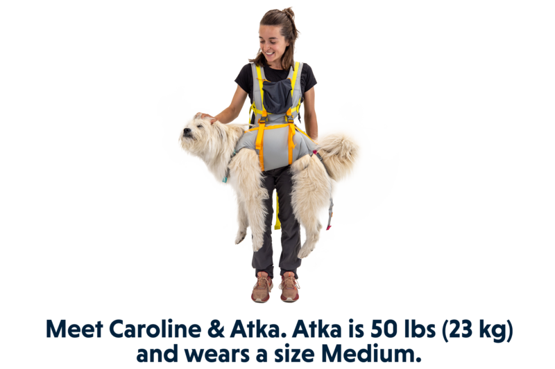 Ruffwear BackTrak Dog Evacuation Kit