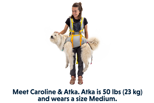 Ruffwear BackTrak Dog Evacuation Kit