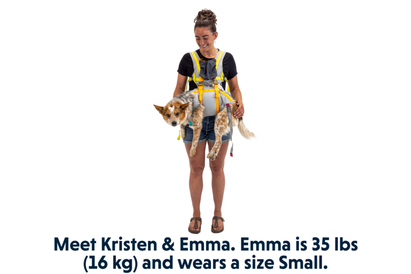 Ruffwear BackTrak Dog Evacuation Kit
