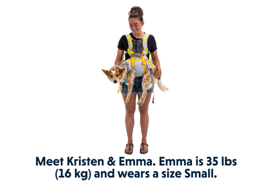 Ruffwear BackTrak Dog Evacuation Kit