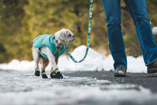 Ruffwear Bark'n Boot Socks