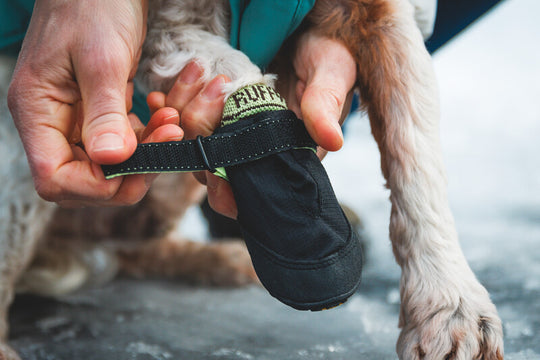 Ruffwear Bark'n Boot Socks