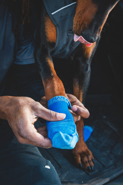 Ruffwear Bark'n Boot Socks