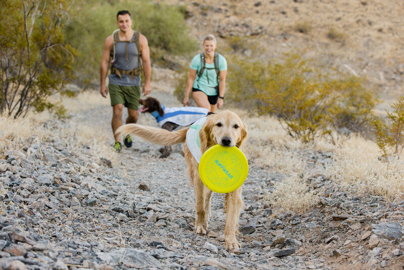 Ruffwear Camp Flyer Toy