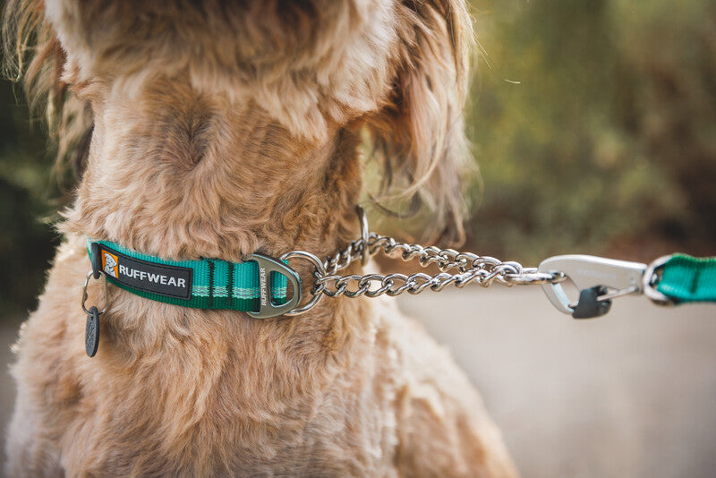 Ruffwear Chain Reaction Collar