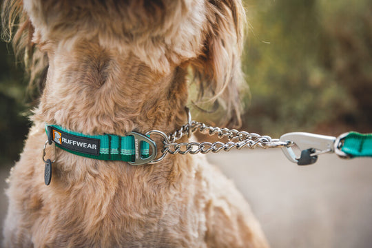 Ruffwear Chain Reaction Collar