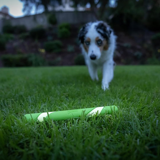 Chuckit Max Glow ultra Fetch Stick