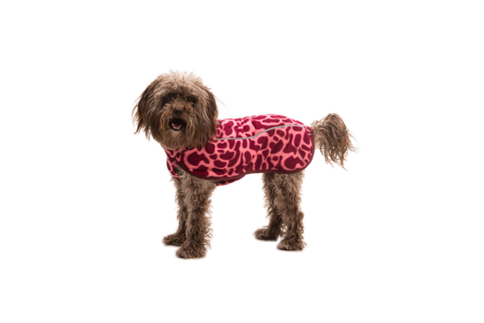 Ruffwear Climate Changer Fleece Vest