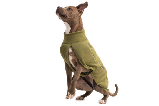 Ruffwear Climate Changer Fleece Vest