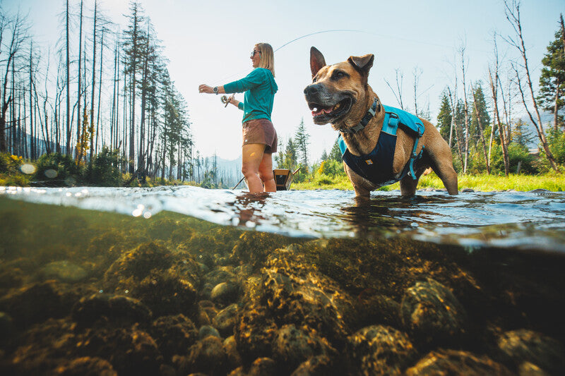 Ruffwear Confluence Life Jacket