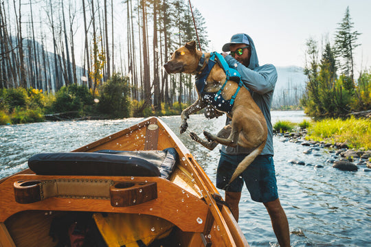 Ruffwear Confluence Life Jacket