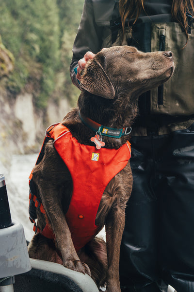 Ruffwear Confluence Life Jacket