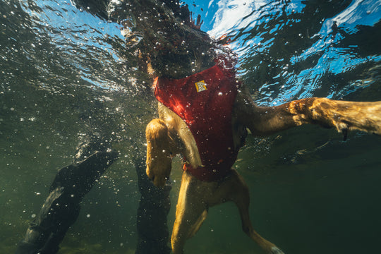 Ruffwear Confluence Life Jacket