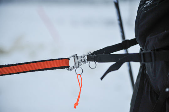 Loype Belt Pro