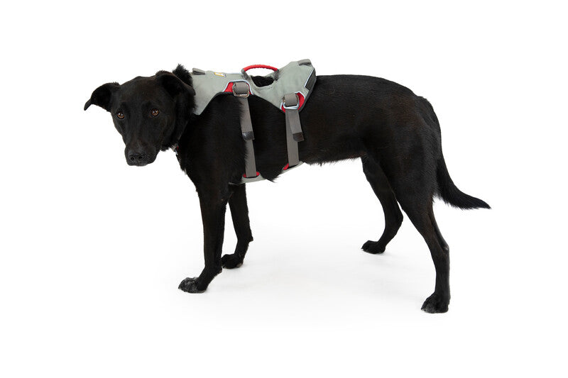 Ruffwear Doubleback Harness