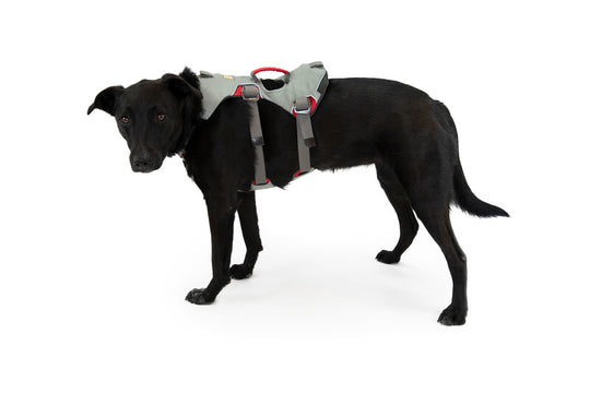 Ruffwear Doubleback Harness