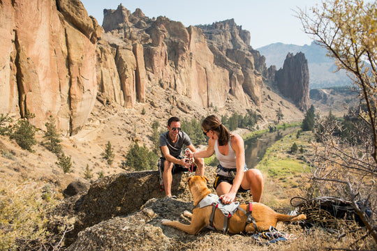 Ruffwear Doubleback Harness