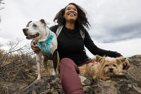Ruffwear Flagline Harness